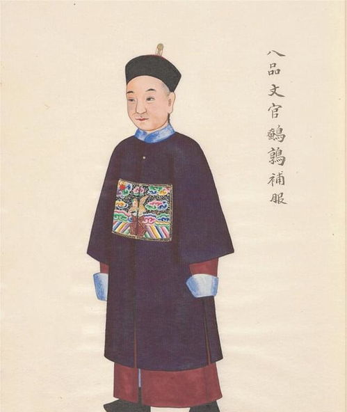 清朝文官品级服饰图 图1是一品仙鹤朝服,图9是九品练雀朝服